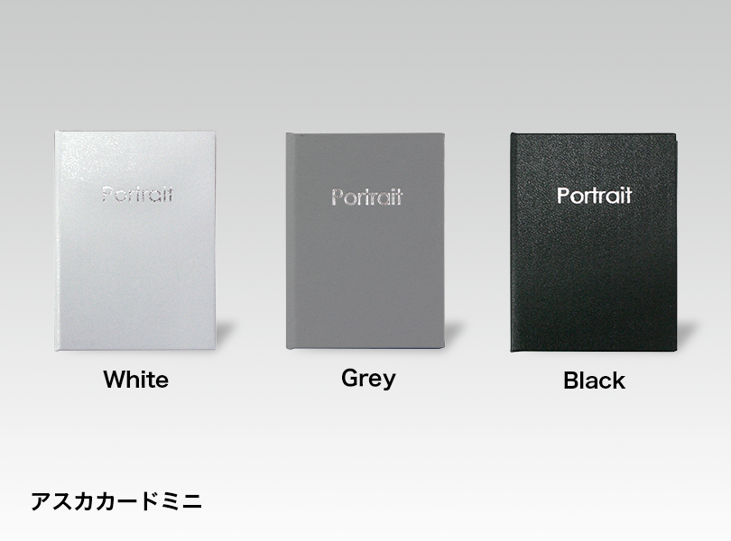 アスカカードミニ