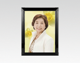 アスカライト FO